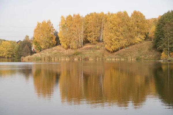 Bétulas Amarelas Margem Lagoa Outono Dourado Reflexão Superfície Água — Fotografia de Stock