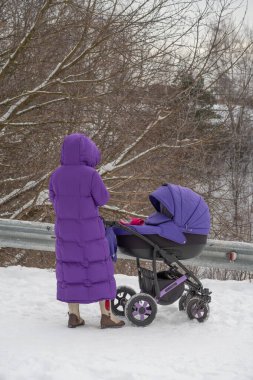 Bebek arabası karda, karla kaplı dalların arkasında duruyor, yürü