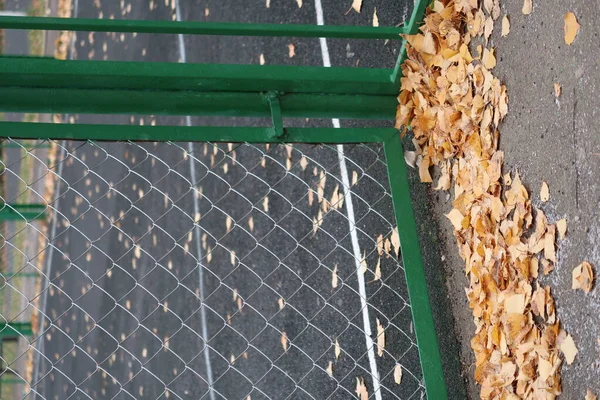 Hoja Amarilla Cerca Valla Metal Verde Del Patio Recreo Finales — Foto de Stock