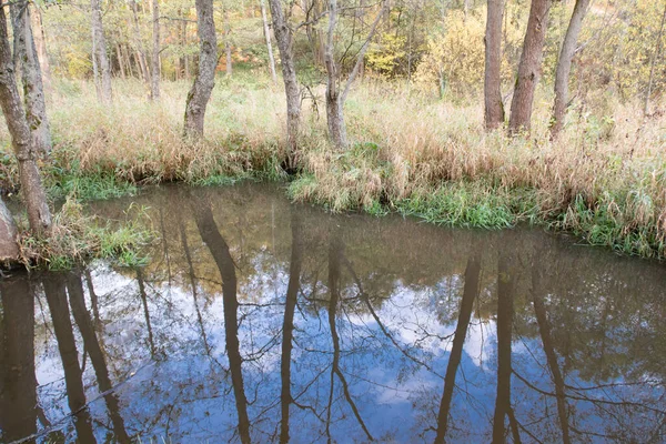Spiegelung Von Blauem Himmel Und Bäumen Der Wasseroberfläche Eines Waldflusses — Stockfoto