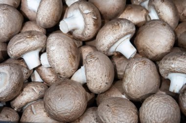 Kahverengi şapkalı taze kraliyet şampiyonu mantarları.