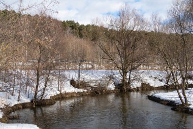 2021 ilkbaharının başlarında bir orman nehrinin kıyısındaki su kenarındaki yaşlı ağaçların yansıması.