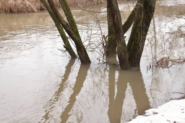Moskova bölgesinde küçük bir nehir, Bitsa nehrinde sel, bir su deresinin ortasında ağaç gövdeleri, arka plan, bahar