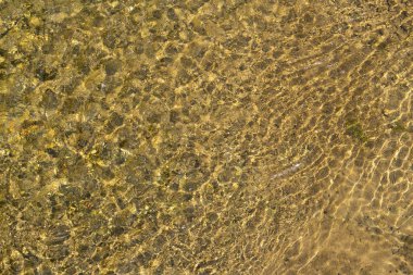 Kayalık dibi olan bir nehirde şeffaf su, hızlı akıntı, su yüzeyinde güneş parlaması, arka plan