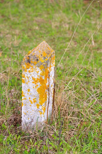 A white concrete post overgrown with orange lichen stands in a spring field with shoots of green grass, Moscow region, April, 2021