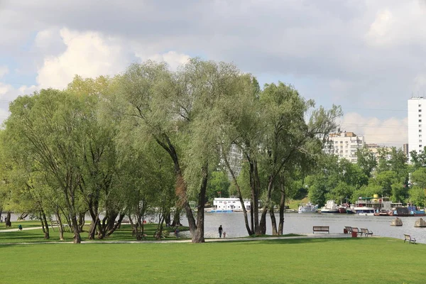 モスクワのコジュフスキー ザトン アンドロポワ アベニューの北の景観公園2021年5月 — ストック写真