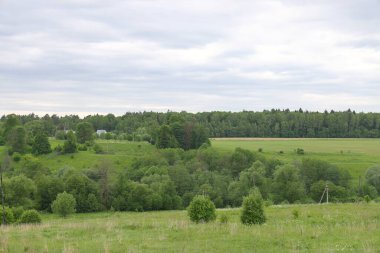 Moskova yakınlarındaki Nara Nehri 'ndeki çalılık yamaçları ve sel yatakları, Haziran 2021