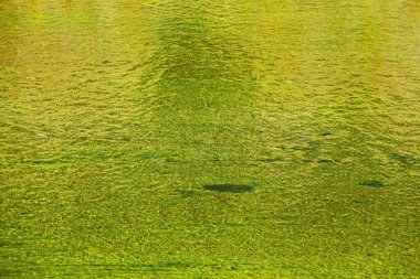 Sığ bir nehirde, şeffaf suda küçük dalgalar, pürüzsüz kumlu tabanı, renk değişimi, arka plan