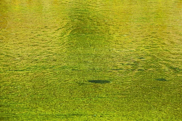 Små Vågor Transparent Vatten Grund Flod Med Slät Sandbotten Ändrad — Stockfoto