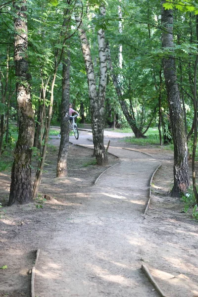 Sendero Sinuoso Parque Ciudad Entre Troncos Blancos Abedules Follaje Verde — Foto de Stock