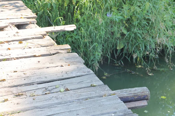 Boardwalk Een Houten Brug Een Rustige Rivier Zonnige Dag Juli — Stockfoto