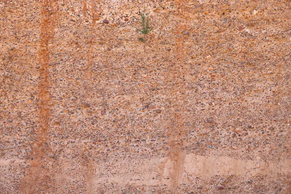 Parede Vertical Uma Pedreira Estrutura Pequenos Seixos Fundo Geológico Região — Fotografia de Stock