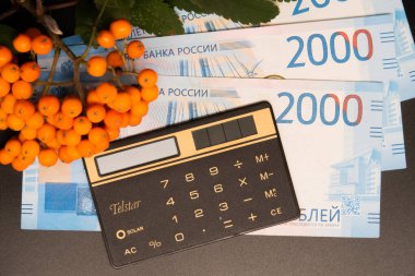 Bir yığın dağ külü ve hesap makinesi Rus banknotlarının üzerinde yatıyor, yaz mevsimi, finansal sonuçları özetliyor.
