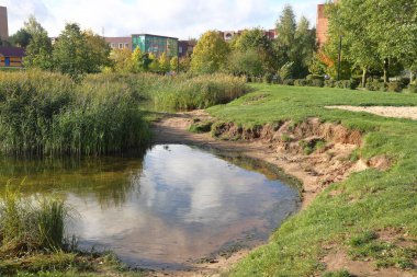 Fazla gelişmiş şehir gölünün, kentsel çevrenin, parkın kumlu kıyıları