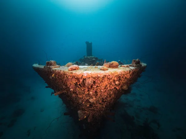 Fartygsvrak Överlägsen Producent Turkost Vatten Korallrev Karibiska Havet Curacao — Stockfoto