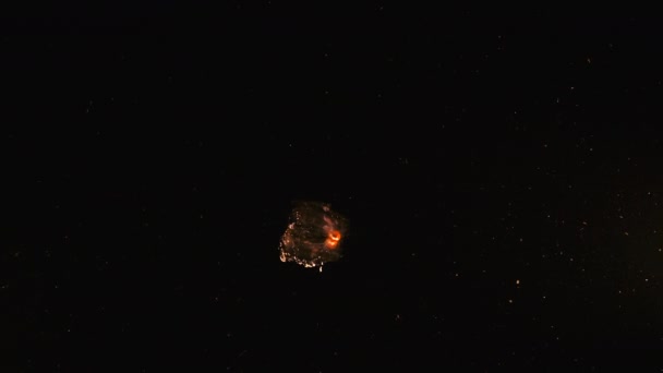Nocne ujęcie: fluorescencyjna galaretka, meduza na rafie koralowej Morza Karaibskiego, Curacao — Wideo stockowe