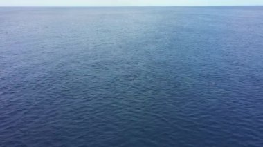 Curacao çevresinde Karayip Denizi 'nde yüzen Yunuslar Okulu' nun havadan görünüşü