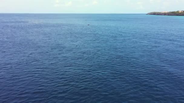 キュラソー周辺のカリブ海で泳ぐイルカの群れの空中風景 — ストック動画
