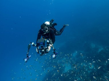 Profesyonel dalgıç / sualtı görüntü yönetmeni Curacao çevresindeki Karayip Denizi 'nin mercan resifinde çekim yapıyor.