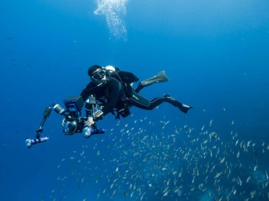 Profesyonel dalgıç / sualtı görüntü yönetmeni Curacao çevresindeki Karayip Denizi 'nin mercan resifinde çekim yapıyor.
