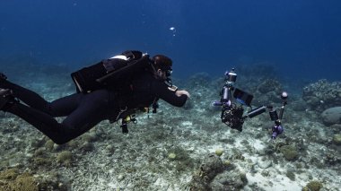 Profesyonel dalgıç, sualtı görüntü yönetmeni Curacao çevresindeki Karayip Denizi 'nin mercan resifinde çekim yapıyor.