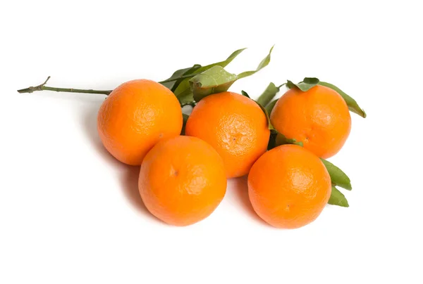 Clementines at white background — Stock Photo, Image