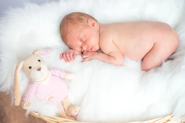 Newborn baby sleeping in basket with toy rabbit — Stock Photo, Image