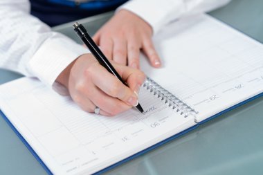 eller kadın defter, yazma planları