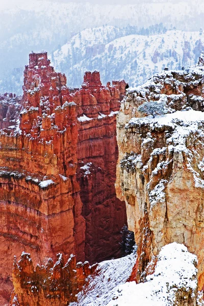 Los cañones cubiertos de nieve de Bryce Canyon —  Fotos de Stock