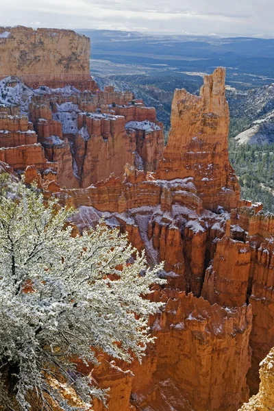 La belleza invernal del Parque Nacional Bryce Canyon — Foto de Stock