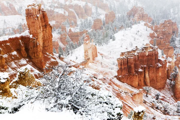 La fría belleza de Bryce Canyon en invierno —  Fotos de Stock