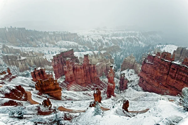 Een zeer koude besneeuwde dag in Bryce Canyon — Stockfoto