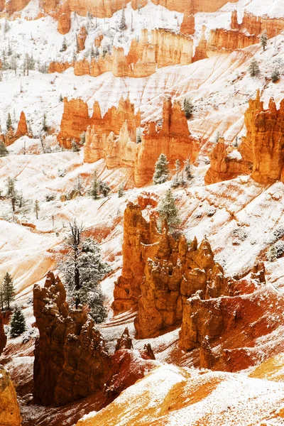 Una mañana fría en Bryce Canyon —  Fotos de Stock
