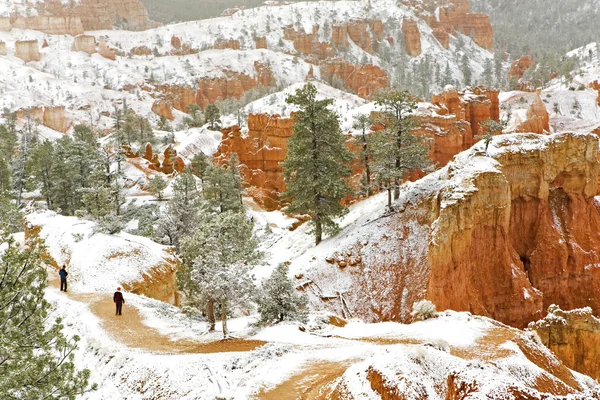 Los excursionistas se aventuran en el Parque Nacional Bryce cubierto de nieve —  Fotos de Stock