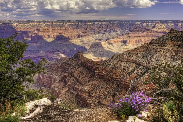 Schöner Morgen am Grand Canyon — Stockfoto