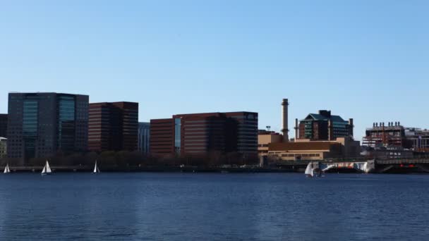 Timelapse Boston manzarası ile ön planda Yelkenliler — Stok video