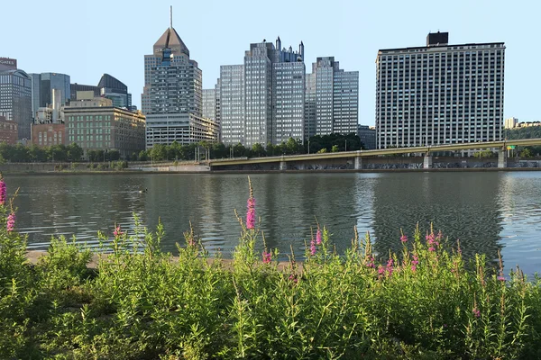 Skyline de Pittsburgh con flores en frente — Foto de Stock