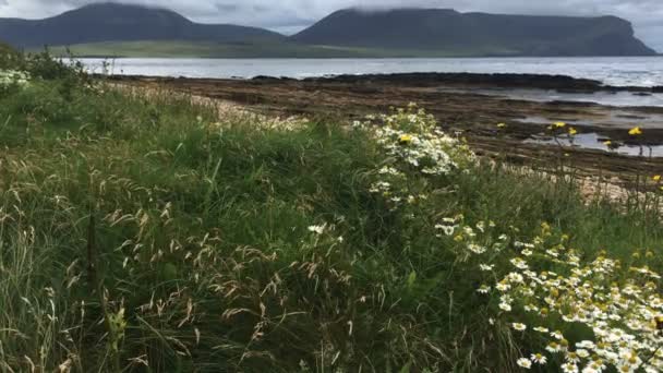 4 k Ultrahd syn på Warbeth Beach i Orkney — Stockvideo