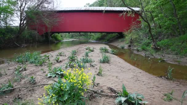 Vista Big Rocky Covered Bridge Indiana Estados Unidos — Vídeos de Stock