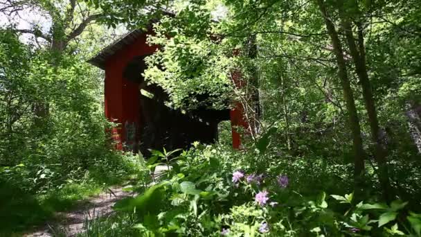 Utsikt Över Glen Helen Täckt Bro Ohio Usa — Stockvideo