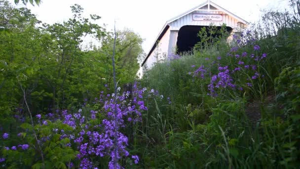 Vista Del Harshman Covered Bridge Ohio Estados Unidos — Vídeos de Stock