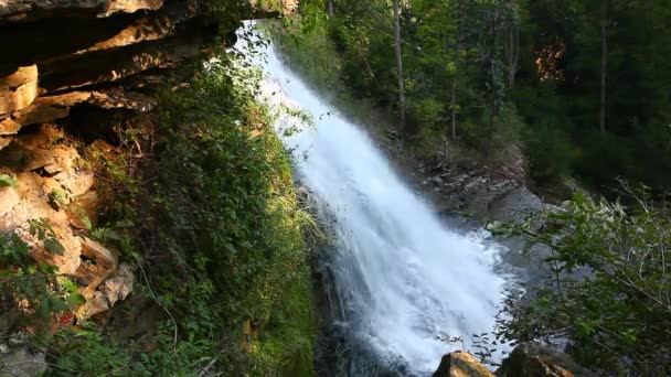 加拿大安大略省阿尔比恩瀑布景观 — 图库视频影像