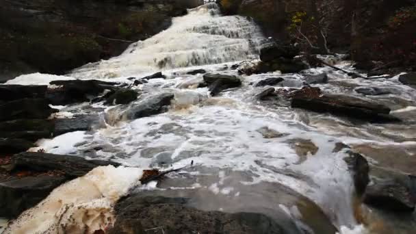 Άποψη Του Κάτω Beamer Falls Στο Οντάριο Καναδάς — Αρχείο Βίντεο