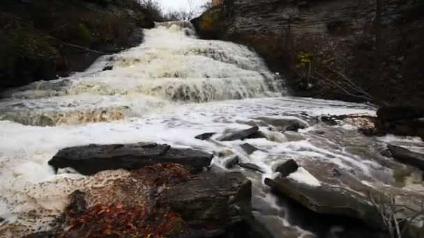 Σκηνή Του Κάτω Beamer Falls Στο Οντάριο Καναδάς — Αρχείο Βίντεο