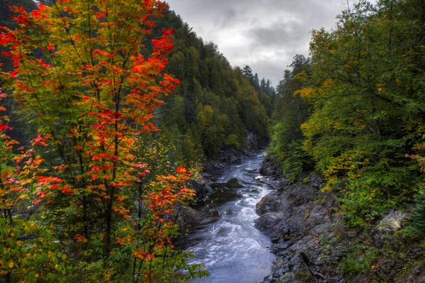Sonbaharda Kanada Ontario Daki Batchawana Şelalesi — Stok fotoğraf