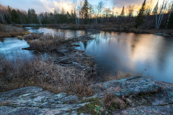 Una Presa Castor Atardecer Ontario Canadá —  Fotos de Stock