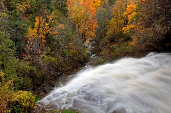 Uma Vista Borer Falls Ontário Canadá — Fotografia de Stock