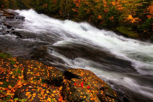 Buttermilk Falls Muskoka Ontário Canadá — Fotografia de Stock