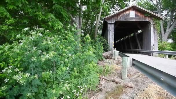 Vue Pont Couvert Route Mccafferty Dans Ohio États Unis — Video