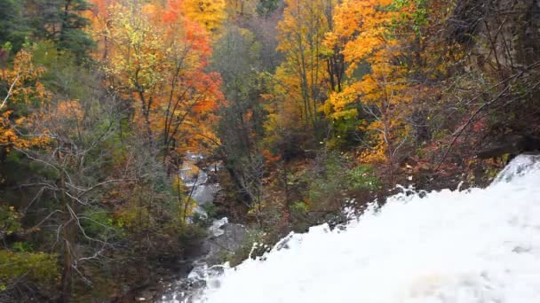 Borers Falls Ontario Canada Herfst — Stockvideo